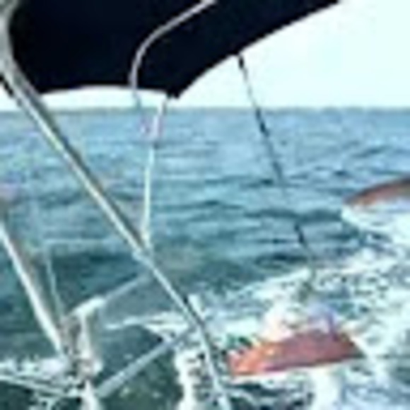 audreye33